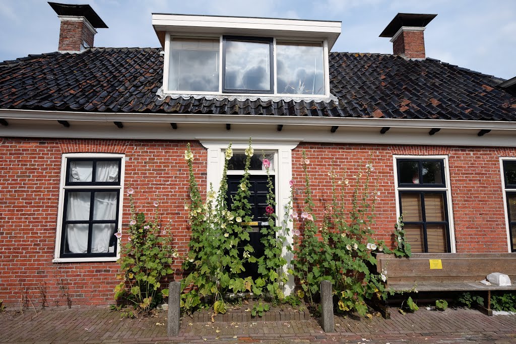 9891 Ezinge, Netherlands by Ben Bender