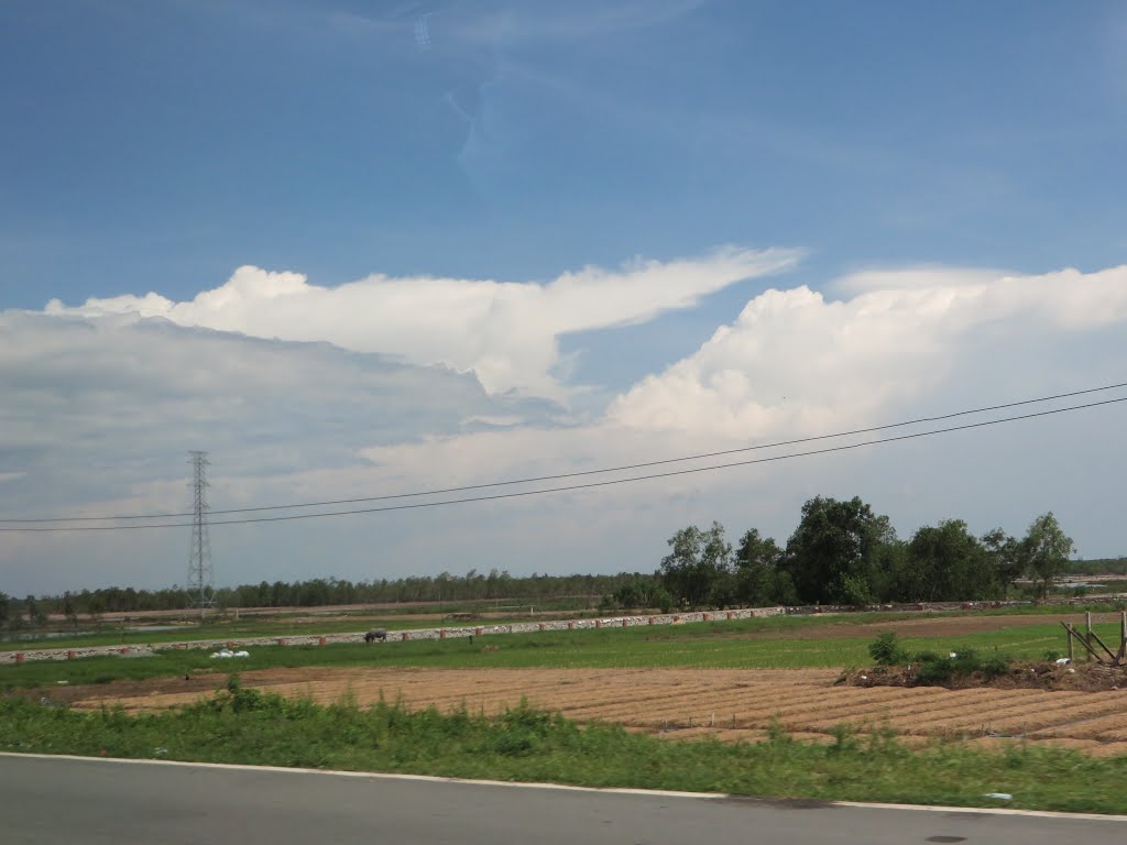 Chu Hải, Tân Hải, Tân Thành, Bà Rịa - Vũng Tàu, Vietnam by Dần Lê