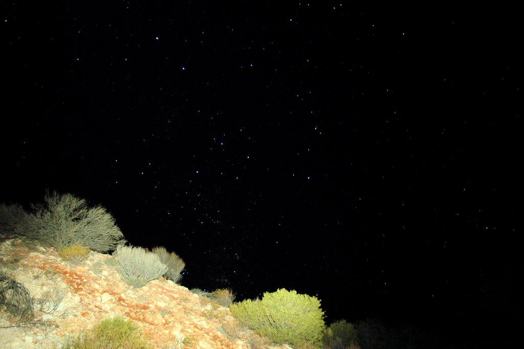 Southern Cross and Pointers by darcy o'shea