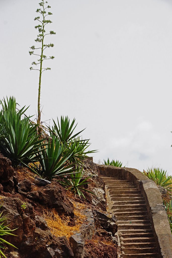 Machico Madeira by Karl Pallinger