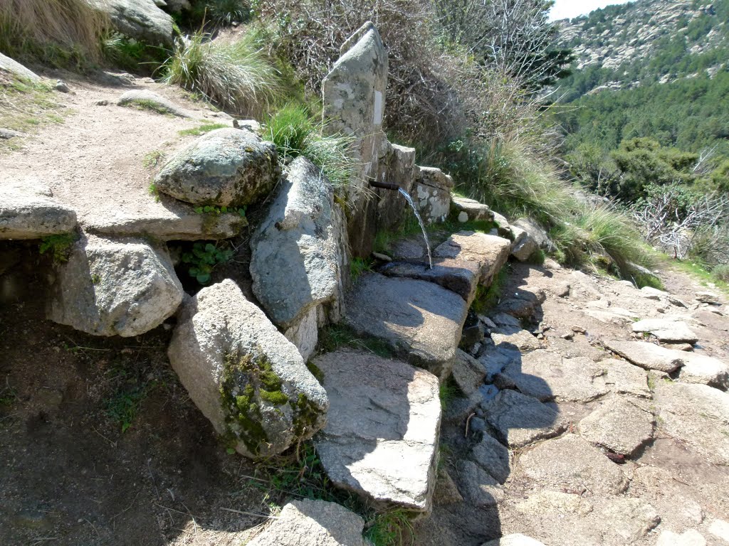 MANZANARES EL REAL (Madrid). 2014. 199. La Pedriza. Fuente de Pedro Acuña. by Carlos Sieiro del Ni…