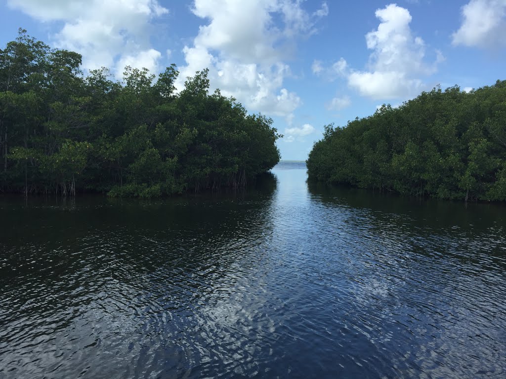 Florida Keys, FL, USA by Nick Athanassiadis