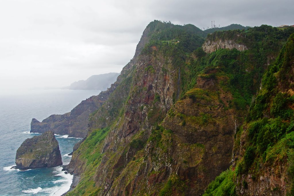 Santana Madeira by Karl Pallinger