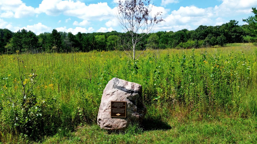 Prairie Restoration at Mirror Lake State Park by Aaron Carlson