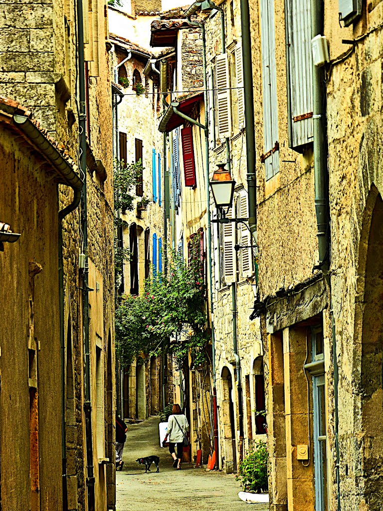 Sant-Antonin de Roèrgue -- Occitania by Franc Bardou