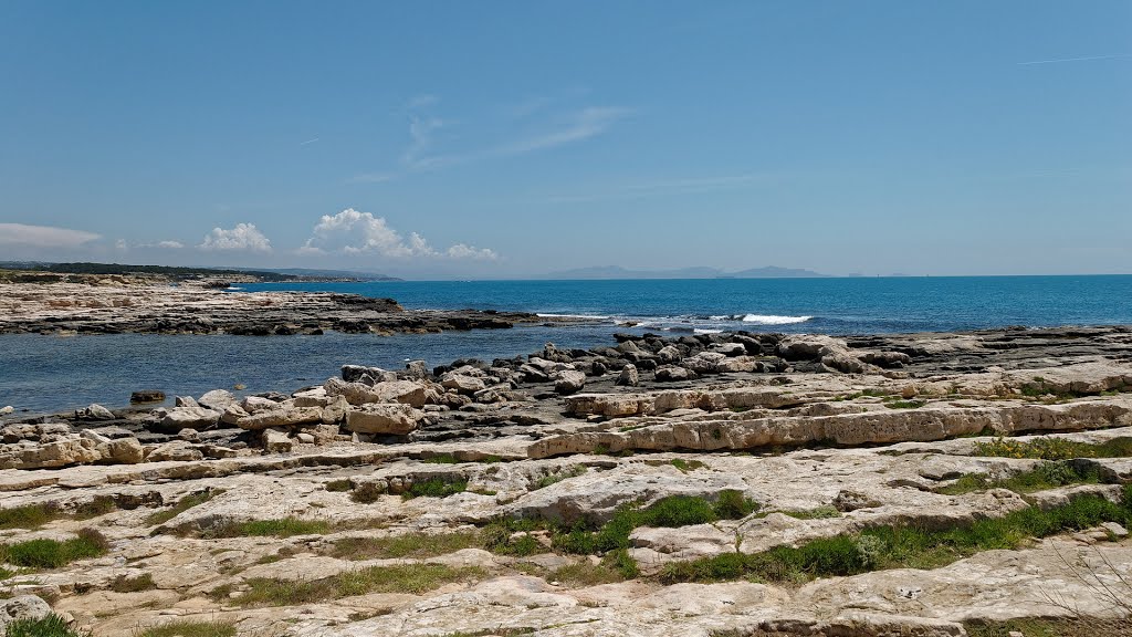 CAP COURONNE 2013 by edoardo aragone