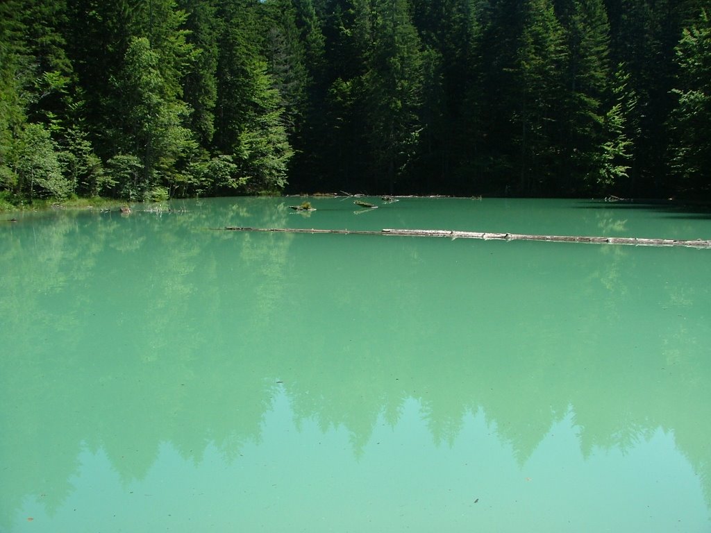 Bodensee, Austria by Sándor Balikó