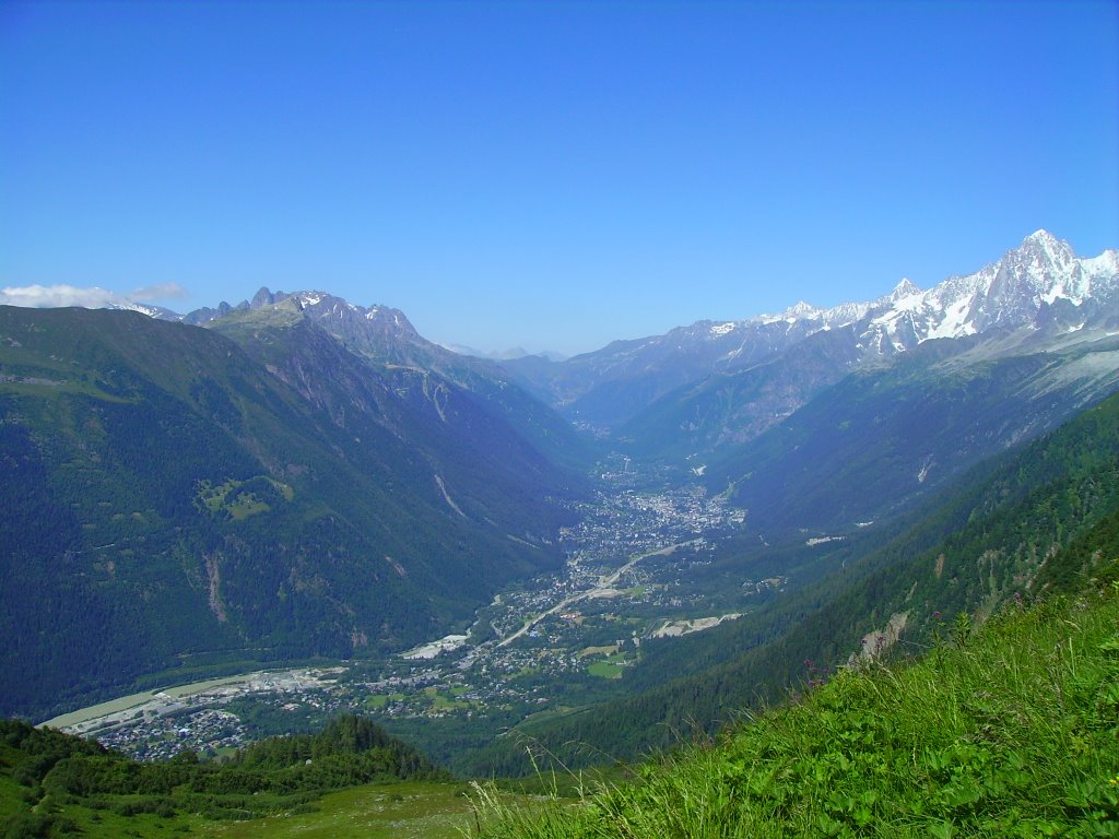 Vallée de Chamonix vu depuis le col de mont Lachat by francisco69