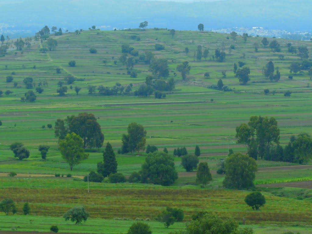 The landscape northwards, from Cacaxtla by brunchri