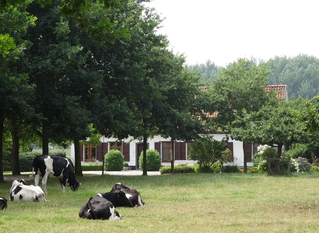 Hoeve Sint-Denijs-Westrem by Pascal Van Acker