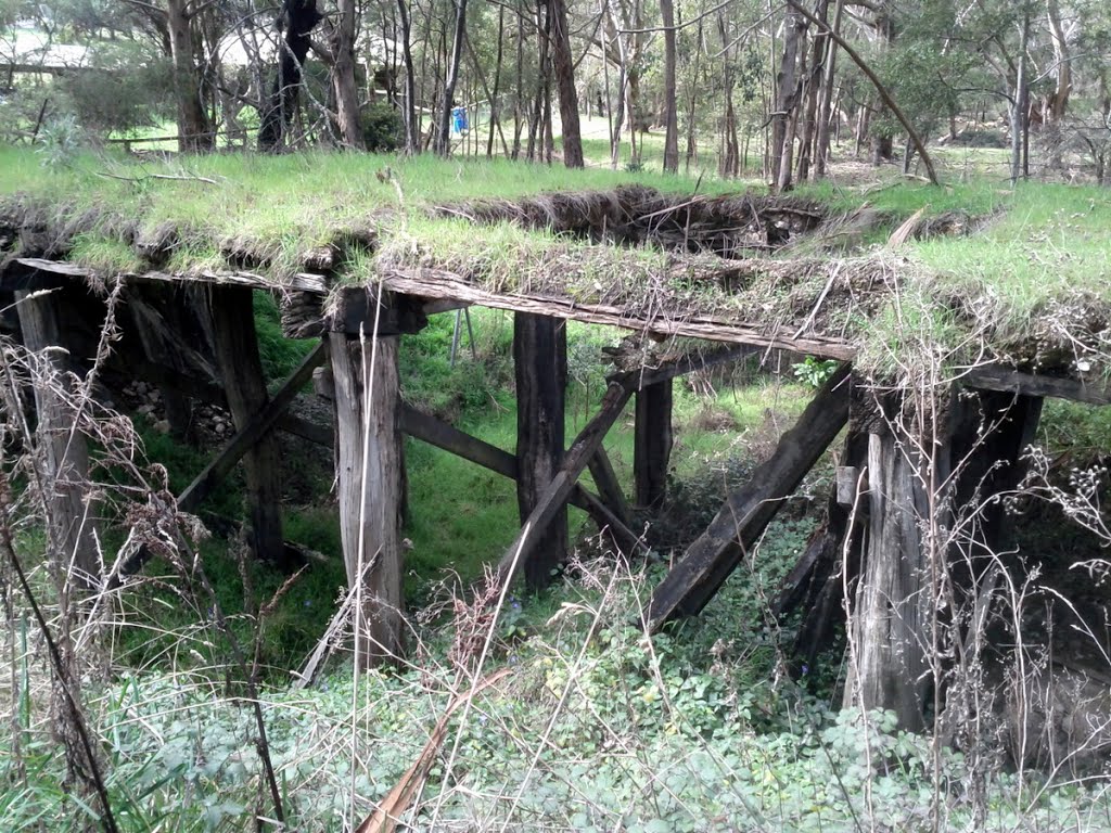 Old Bridge with a hole! by Warwick Sellens