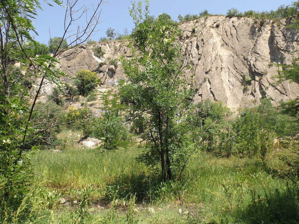 Парк "Младежки хълм" Пловдив, езеро с папур by Kurdo Kolenko