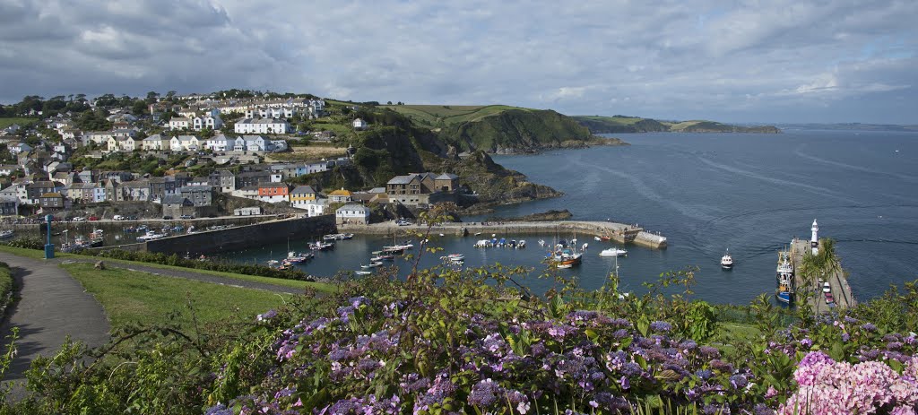 Mevagissey panorama. by DrNickLeB