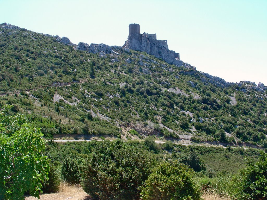 Frankreich_Languedoc-Roussillon_Château de Quéribus by Elmokula