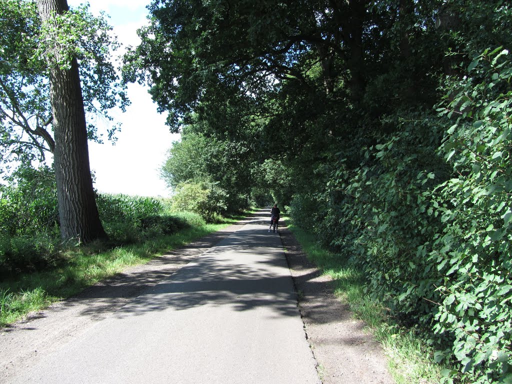 Ottersberg / Wümme - Radweg Nordroute by Dieter Kiefer