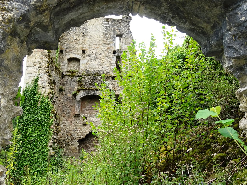 Château de Carbonnière by ln63