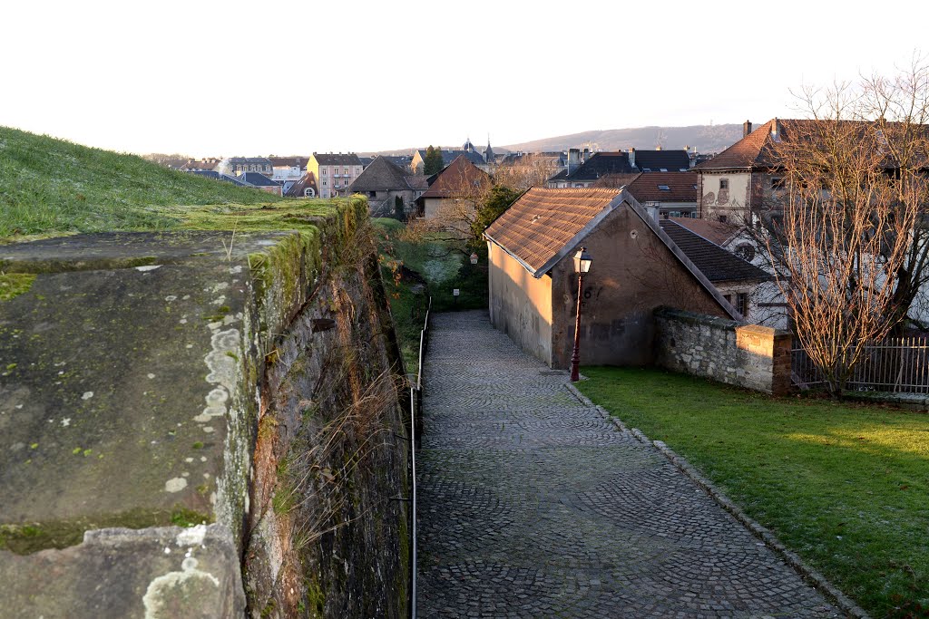 Belfort ..... allée de l'option française by so crate