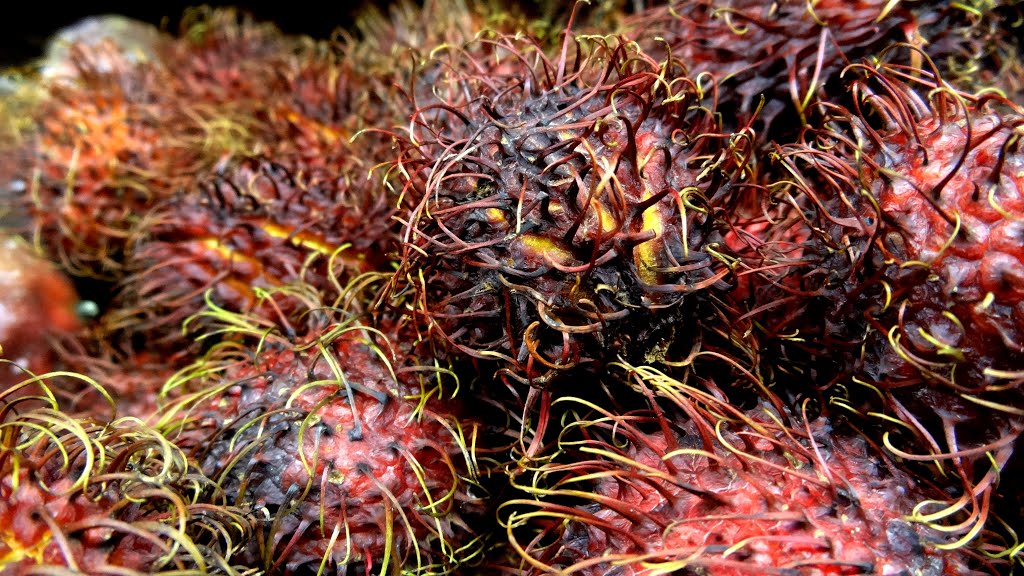 Fruit, Farmer's Market, Las Cruces, New Mexico, USA by John Eby