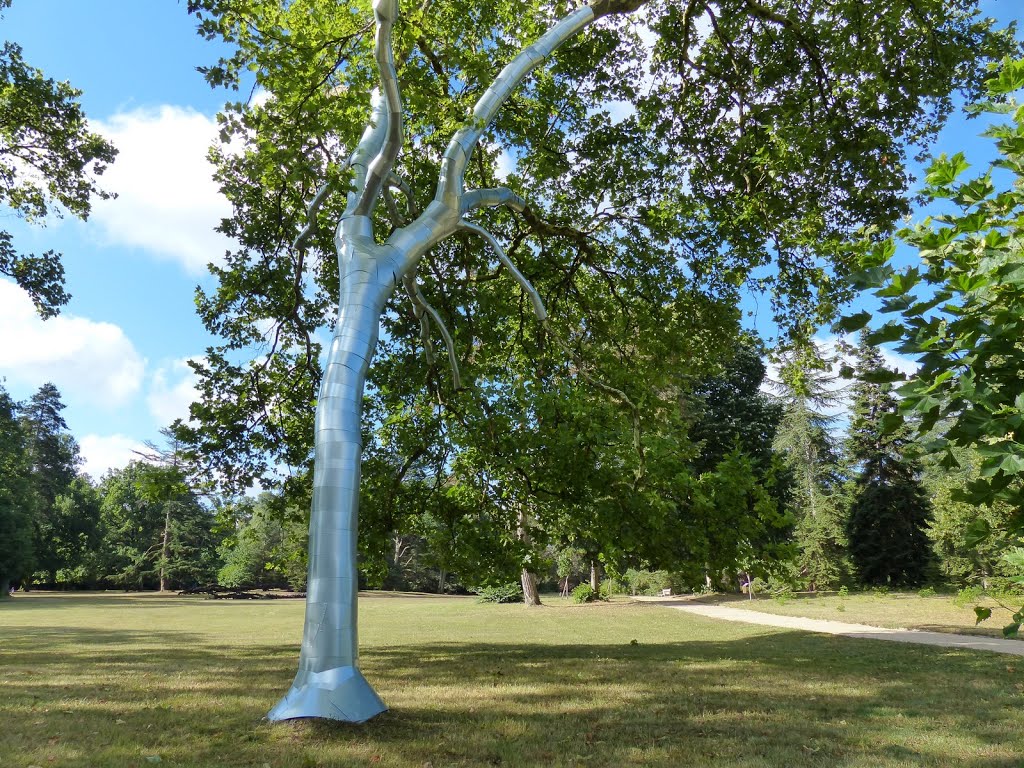 Bâtiments et jardin du château de Chaumont-sur-Loire by epaulard59