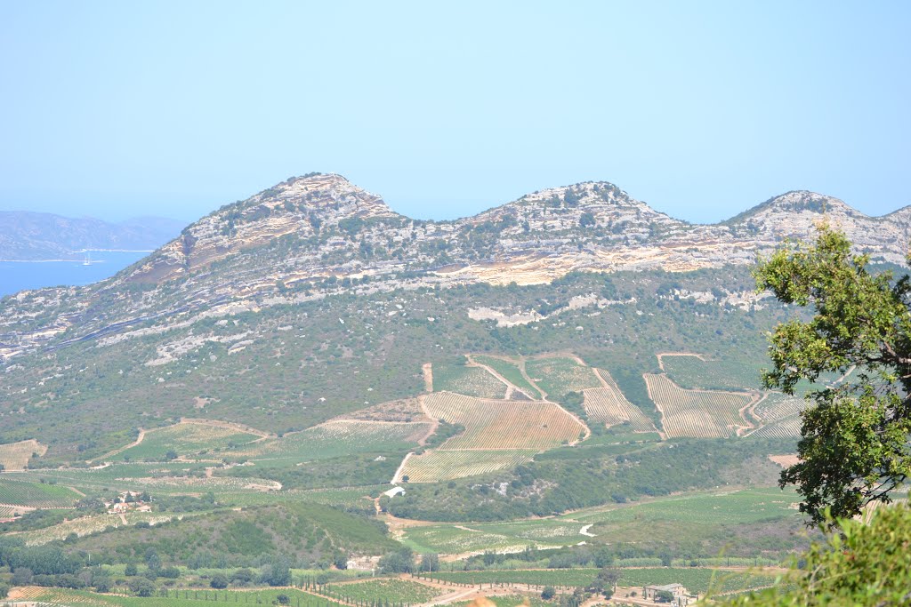 Montagnes et vignes by Jean-Marc Torche