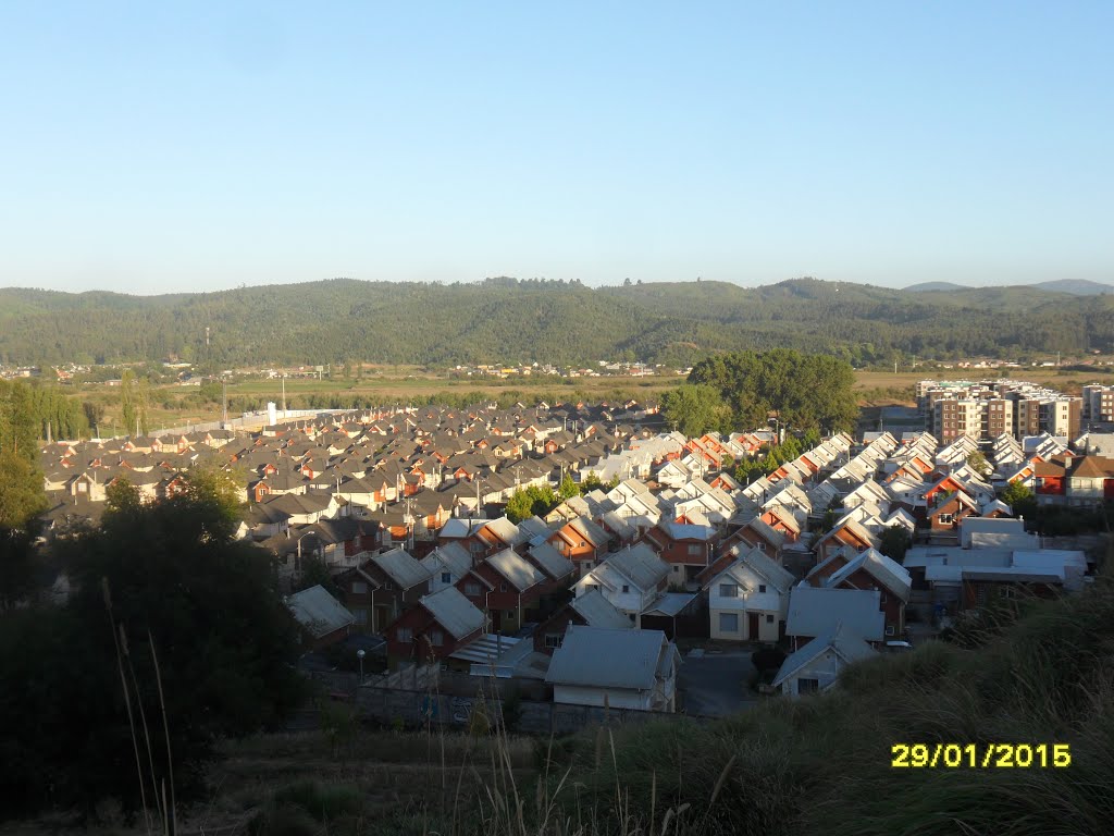 Paisaje urbano en el sector de cipreses de bellavista año 2015. by fotomau84