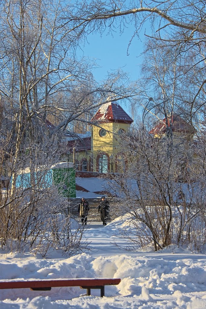 Syktyvkar, Komi Republic, Russia by Viacheslav Podorov