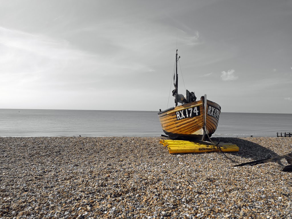 Hastings Yellow by Gordon Stein