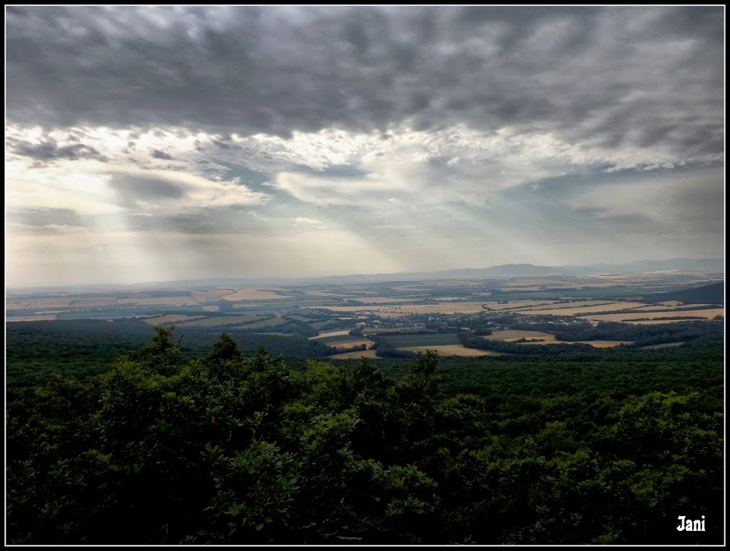 Pohorie Tribeč,kremencová hôrka Plieška - Ponitrie v podvečer by Janulka