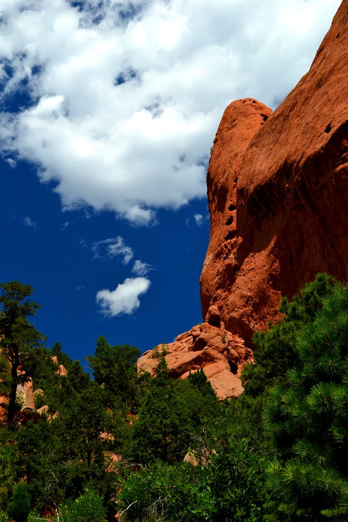 West Colorado Springs, Colorado Springs, CO, USA by Brandon Zimmerman