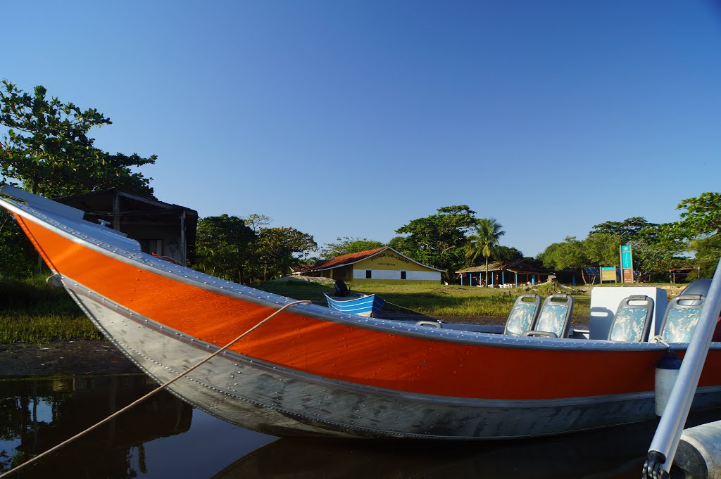 Marujá - Ilha do Cardoso - SP by Andre Pimentel