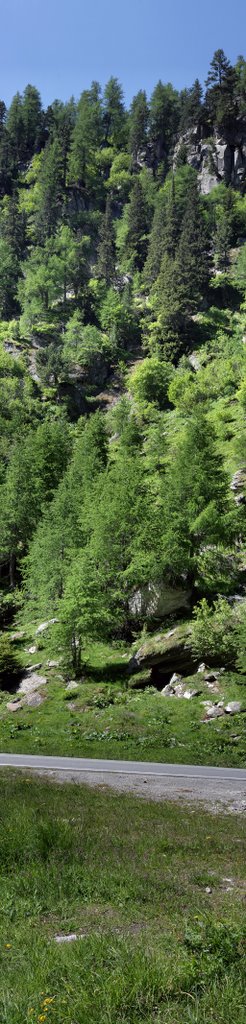 On the way to Nufenen-Pass, a simple vertical Panorama by @ntares