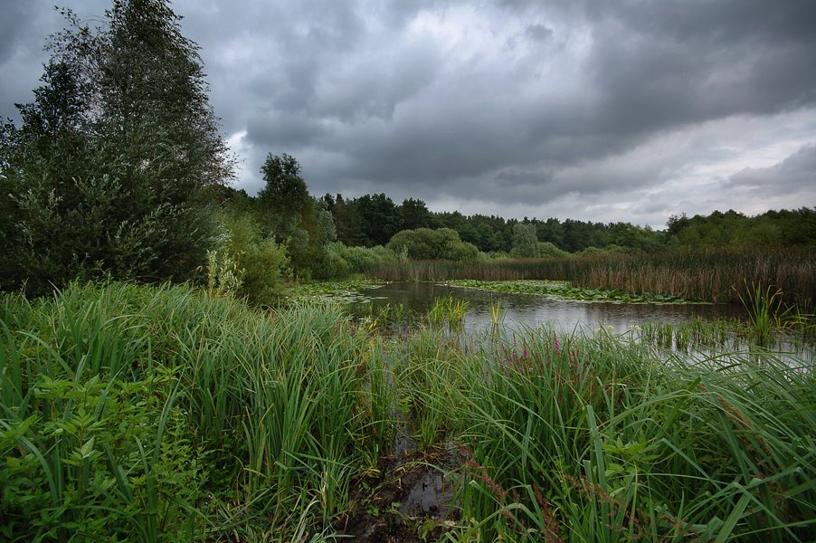 Teich bei Stechow by Hsvrs