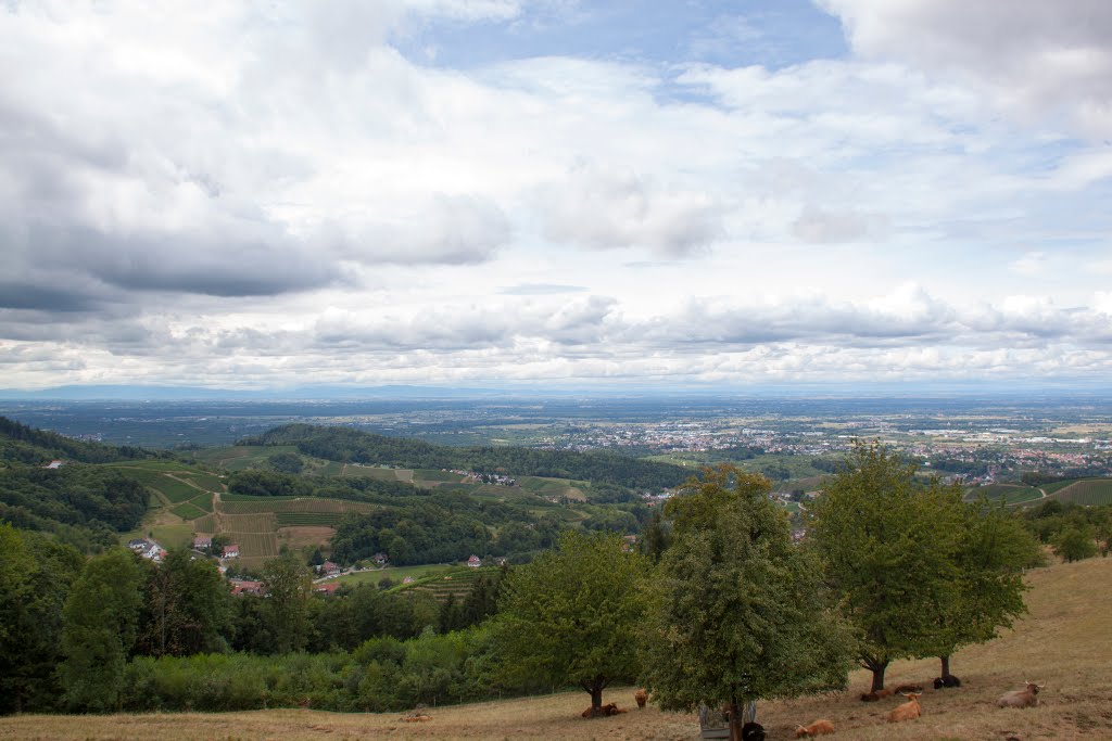 Panoramazicht, Sasbachwalden by Roger Geijsels