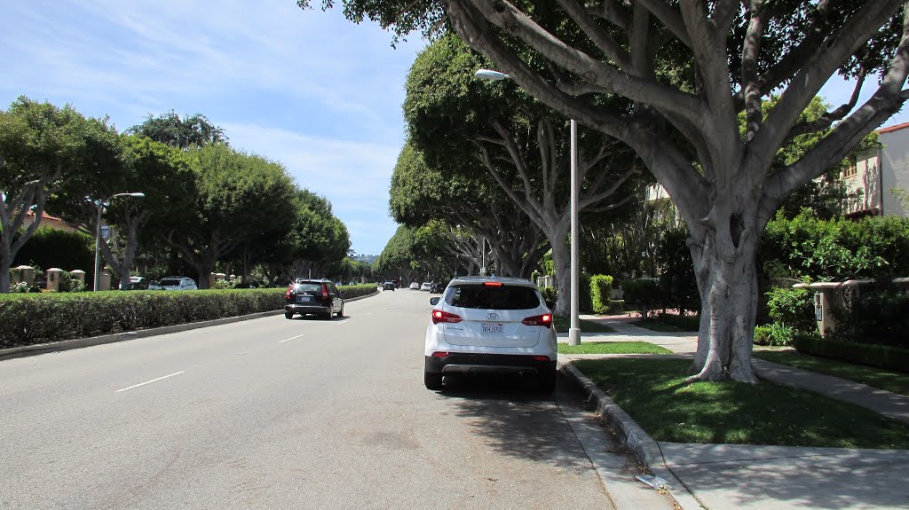 N Rodeo Dr Beverly Hills, CA by Ralf Zilske