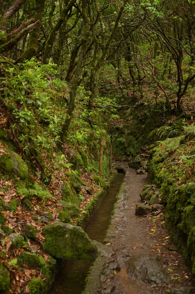 Rando de la Levada do Caldeirao Verde (Madère) by jasonvy7