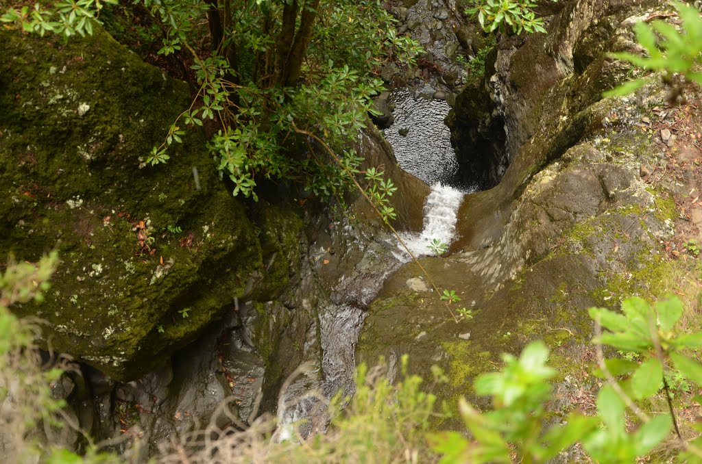 Rando de la Levada do Caldeirao Verde (Madère) by jasonvy7