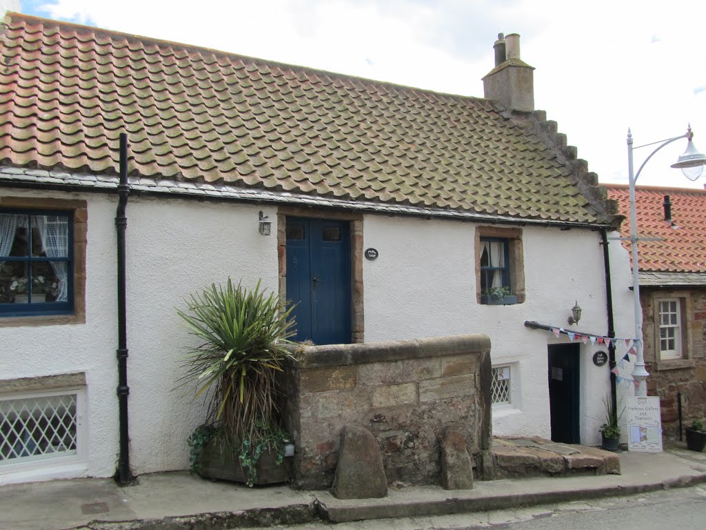 Mayview Cottage & Crail Harbour Gallery. by Terry Gilley