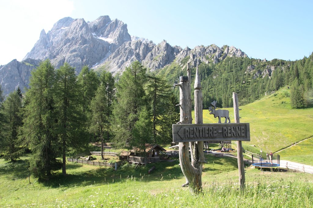 Prati di Croda Rossa - verso le renne by Sergio Cherubini