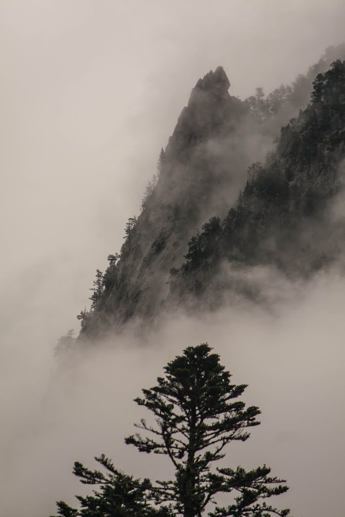 Cauterets, France by Shaun Kiernan