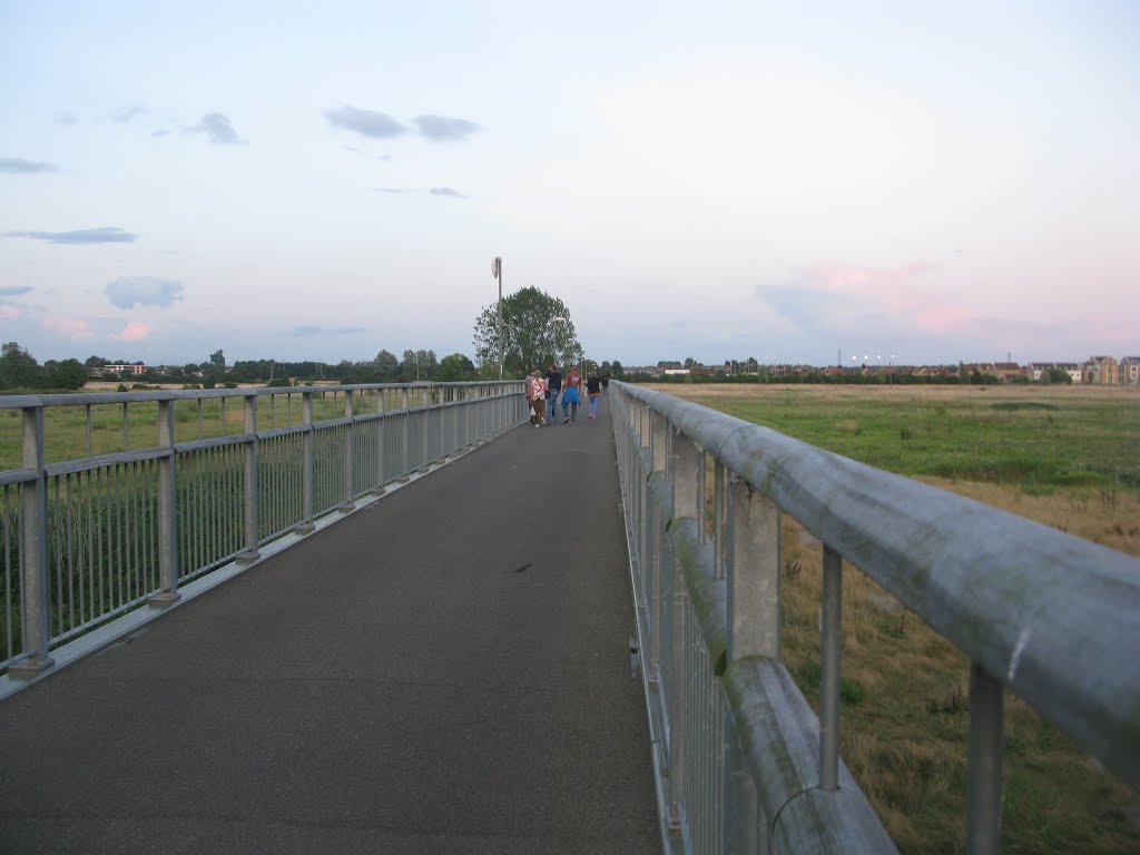 England, St Neots, bridge (11-08-2014) by Innocenti