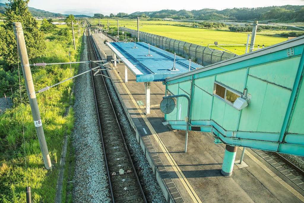 袖崎（そでさき）駅　島式ホーム風景　JR山形線（奥羽本線）　山形県村山市 by 犬山にゃん太郎