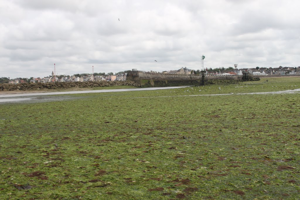 Toegang tot haven bij laagtij-Grandcamp Maisy-Normandie-Frankrijk-Jul-2015 by papeeters