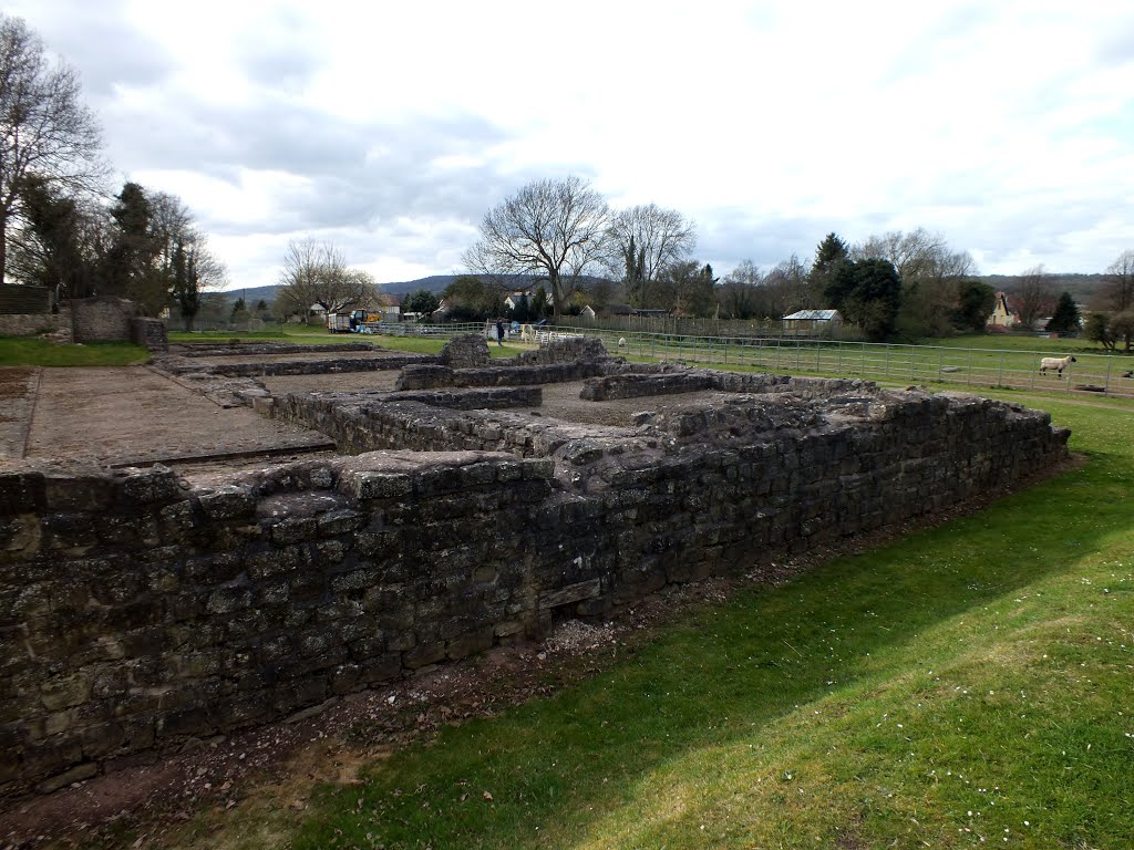 Forum and Basilica by Ozymandias