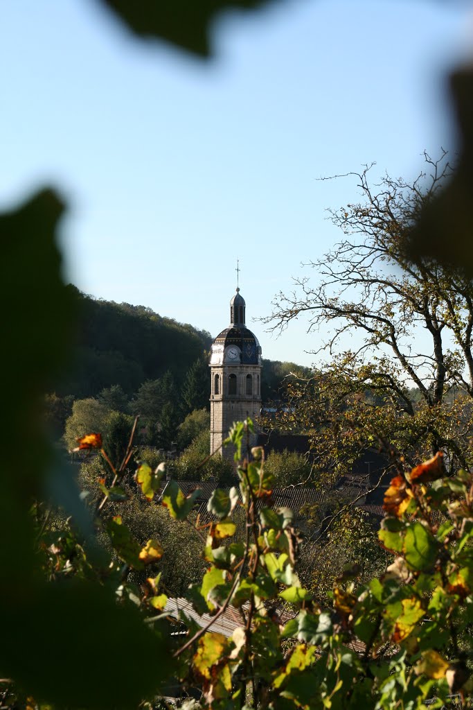 Vaux en Bugey by Domaine-Duport-Josep…