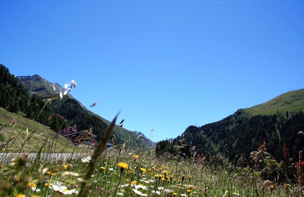 Bourg-St-Pierre - Climat alpin by Charly-G. Arbellay