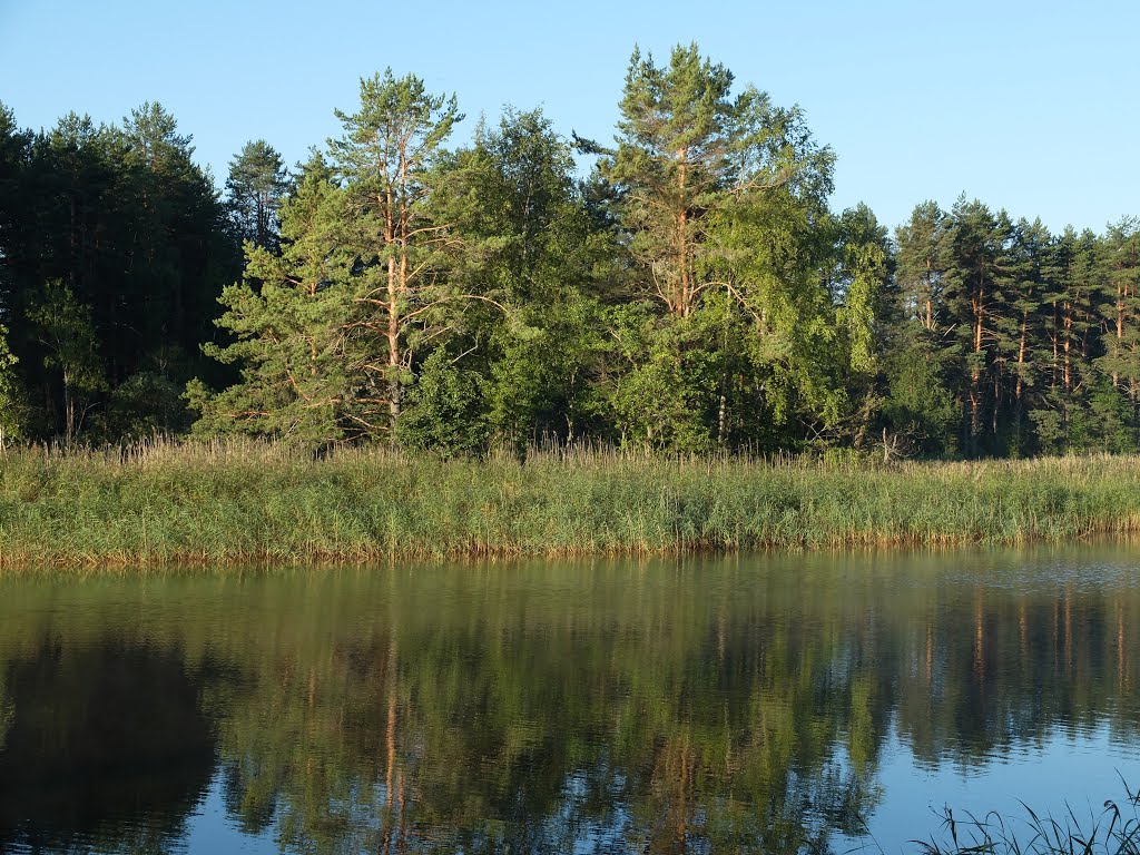 Ostashkovsky District, Tver Oblast, Russia by Grigory Shorin