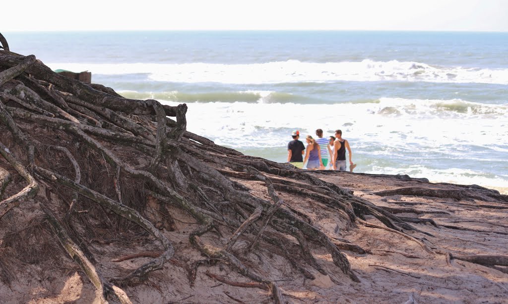 Raizes, Praia do Moçambique, Florianópolis, SC, Brasil by Zenório Piana