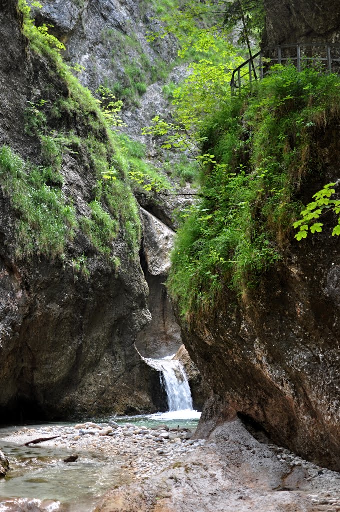 DE - Almbachklamm by Petr Bozek