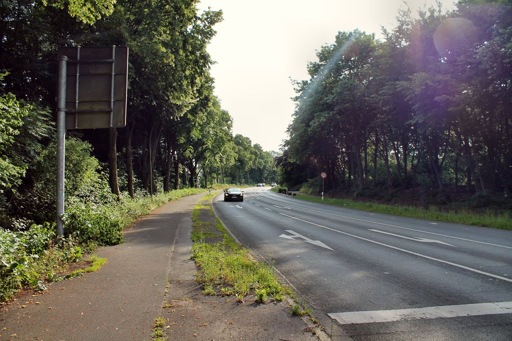 Recklinghauser Str. (Gelsenkirchen-Resse) / 25.06.2015 by Daniil Bartholomae