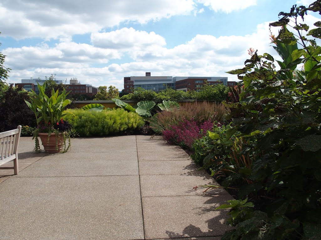 Penn State Botanical Gardens by jim bennett 1951